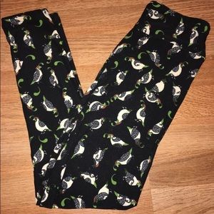 Lularoe os Black background /bird